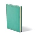 Agenda A/5 napi ACE A021 menta